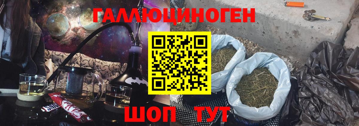 Выборг  Псилоцибиновые грибы мухоморы  Вход с VPN 