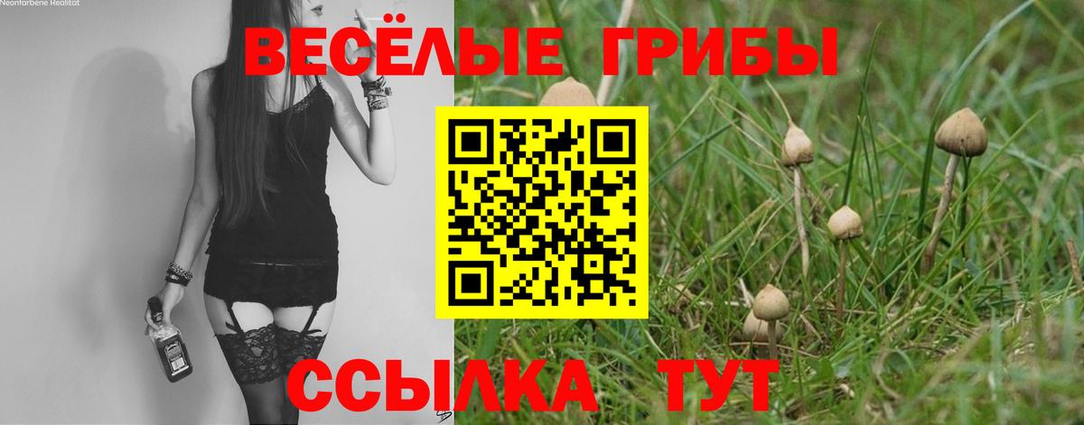 Галлюциногенные грибы прущие грибы Выборг